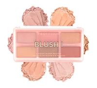 Profusion Cosmetics The Go Palette - Blush I, Long Lasting 6 Shade Face Blusher Gives Daily Glamorous Celebrity Look