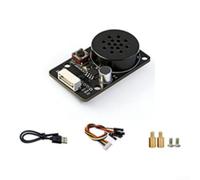 Programmable Speech Recognition Board Type-C Port