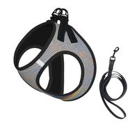 Programming Code Print Step in Dog Harness and Leash Set,Adjustable Reflective Harness for Small Dogs Cats