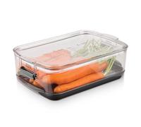 progressive 10PKS905 PKS-905 Prepworks Produce Keeper, Plastic, Clear