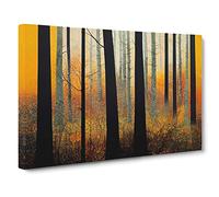 Progressive Autumn Forest Canvas Print | Gallery Wrapped 30mm Frame Wall Art | 30x20 inches | Ready to Hang | Contemporary Landscape Picture | Living Room Bedroom Lounge Office