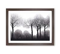 Progressive Forest Framed Print | A2 Walnut Framed Wall Art | Ready to Hang | Modern Landscape Picture | Living Room Bedroom Lounge Office