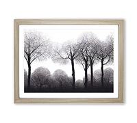 Progressive Forest Framed Print | A3 Oak Framed Wall Art | Ready to Hang | Modern Landscape Picture | Living Room Bedroom Lounge Office