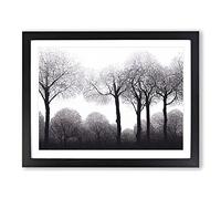 Progressive Forest Framed Wall Art Print A2 Black