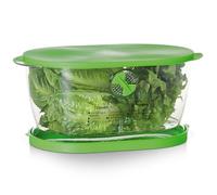 Progressive LKS-06 Prep Solutions Lettuce Keeper, Plastic, Green