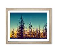 Progressive Pine Tree Forest Framed Print | A4 Oak Framed Wall Art | Ready to Hang | Modern Floral Picture | Living Room Bedroom Lounge Office