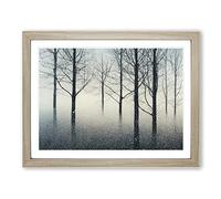 Progressive Winter Forest Framed Wall Art Print A2 Oak