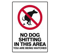 Prohibition - No Dog Shitting In ThIs Area - Modern Metal Tin Sign,8 x 12 Inch,Multiple Colors,Wall Mount,Warning