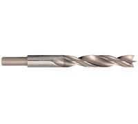 PROJAHN 19409 wood drill bit V2 with two raised lips 9 mm