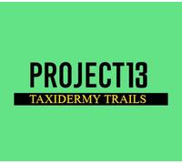 Project 13: Taxidermy Trails PC Steam CD Key