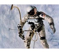 Project Gemini: Friends and Rivals