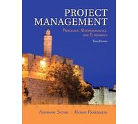Project Management: Processes, Methodologies, and Economics