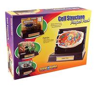 Project Pack-Cell Structure