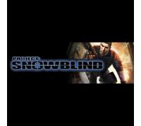 Project: Snowblind (PC) Steam Gift - GLOBAL