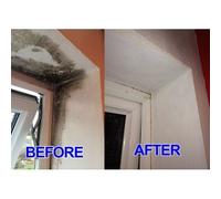 ProKleen 10L + 750ml of Pro-Kleen Mould & Mildew Remover Killer & Cleaner Super Concentrate Spray