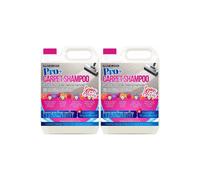 ProKleen Carpet Cleaning Shampoo Odour Remover 2 x 5L Spring Bloom Fragrance in White ProKleen White