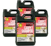 ProKleen Carpet Cleaning Shampoo Odour Remover Coconut & Guava Fragrance 4 x 5L in Clear ProKleen Clear