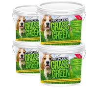 ProKleen Grass Green Lawn Granular Professional NPK Fertiliser 4 x 2.5KG ProKleen Green