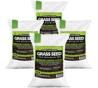 ProKleen Grass Seed 3 Way Ryegrass Mix Fast Germination Multi-Resistant 4 x 5KG in Beige | Size: 20kg ProKleen Beige 20kg