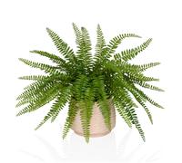 Proliferum - Artificial plant Green