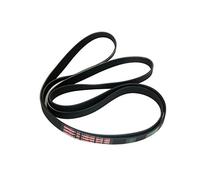 Proline Belt