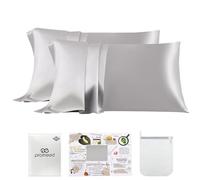 PROMEED 23 Momme Kids Silk Pillowcase 2 Pack with Free Laundry Bag, Natural Grade 6 Mulberry Silk Travel Toddler Pillow Case Set of 2, Zipper (Toddler/Travel 13"x18", Light Grey)