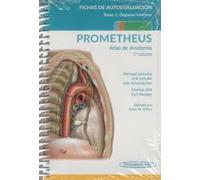 PROMETHEUS. Atlas de Anatomía.Fichas de autoevaluación: Órganos internos