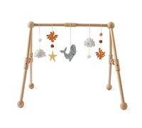 Promise Babe Play Gym for Newborn Babies,Wooden Baby Gym Play Arch Detachable Sea Animals Baby Gym Toys,Baby Crib Activity Gym Standing Toys Plush Coral Whale Dolphin Activity Gym Newborn Birth Baby