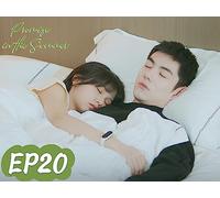 Promise in the Summer EP20