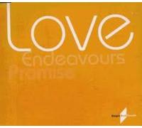 Promise - Love Endeavours / What You Do To Me