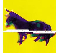 PROMISE RING - Horse Latitudes [VINYL]