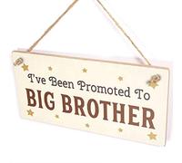 Promoted to Big Brother Sign, Angel Star Decor