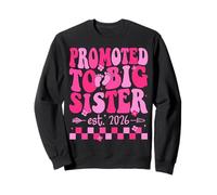 Promoted to Big Sister 2026 Becoming Big Sis finally Groovy Sweatshirt