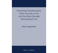 Promoting Transboundary Water Security in the Aral Sea Basin through International Law: 3 (International Water Law Series, 3)
