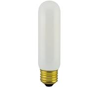 Promotion 2PK LED T10 3.5W, 25W/120V Incandescent Equivalent, Completely Traditional T10 Shape Glass Bulbs(3.5Wx2PCs)