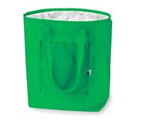 PromotionGift - Reusable Foldable Cooler, Shopping, Beach Bag Light and Durable, with Inner Aluminium Lining for Perfect Cooling Function - 25L (Irish green)