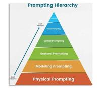 Prompt Fading Poster Hierarchy Special Education Chart