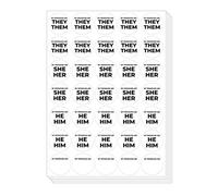 Pronouns Stickers Decal - Bulk Gender Identity for Conference - They Them He Him She Her Nonbinary Badges Name Tags (5 Sheets)
