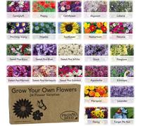 Pronto Seed Flower Bumper Pack - 24 Varieties, Over 3,100 Flower Seeds For Beds, Pots And Baskets
