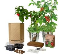 Pronto Seed Grow Your Own Chilli Tomato And Herb Kit - Galvanised Bucket Duo With 4 Varieties