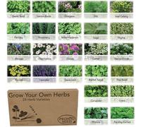 Pronto Seed Herb Bumper Pack, 24 Varieties, Over 2600 Herb Seeds