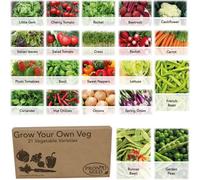 Pronto Seed Vegetable Bumper Pack, 21 Varieties, Over 1700 Vegetable Seeds