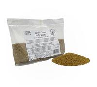 Pronto Seed White Clover Seeds 100g - Fast Growing Winter Ground Cover & Green Manure - Low Maintenance Garden Soil Improver with Nitrogen Fixing Roots - Bird & Bee Friendly (100g)