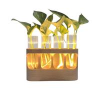 Propagation Pot - Decorative Terrarium for Hydroponic Plants, Table Top Test Tube Station with Wooden Stand, Indoor Planter for Older Teenagers Living Room Bedroom