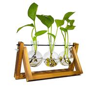 Propagation Station for Plants, Terrarium for Hydroponic Plants, Plant Terrarium with Wooden Stand Personalized Gifts for Mum, Women, Valentines Day, Birthday, Christmas, Mothers Day(3 Bulb Vase)