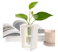 Propagation Stations - Decorative Glass Planter with Wooden Frame, Air Stand | Indoor Greenhouse Vase, Botanical Display Tray, Table Sprouter, Decor