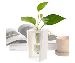 Propagation Stations - Decorative Glass Planter with Wooden Frame, Air Stand | Indoor Greenhouse Vase, Botanical Display Tray, Table Sprouter, Decor