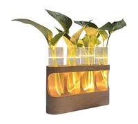 Propagation Stations - Terrarium with Adjustable LED Lighting, Glass Vase for Culture - for Living Room Bedroom and Bathroom Teens Adults