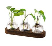 Propagation Vases for Plants, Rooting Terrarium on Wooden Base - Glass Grow Pot with Wooden Base | For Bedroom, Dorm, Apartment, Living Room, Office, Table, Countertop