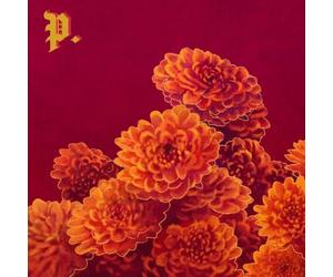 Proper I Spent the Winter Writing Songs About Getting Better (CD) Album